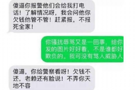 安庆为什么选择专业追讨公司来处理您的债务纠纷？